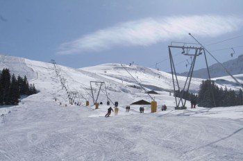 Das Skigebiet Elsigen-Metsch ist ein Geheimtipp bei allen Geniessern und Carver.