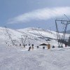 Das Skigebiet Elsigen-Metsch ist ein Geheimtipp bei allen Geniessern und Carver.