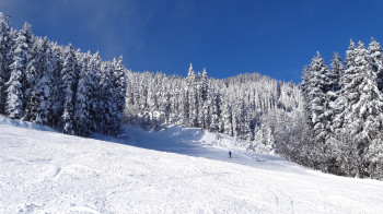 Am Spieljoch findest du die längste beschneite Talabfahrt des Zillertals.