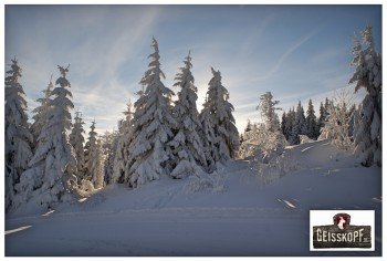 Der Januar ist der schneereichste Monat im Skigebiet Geißkopf