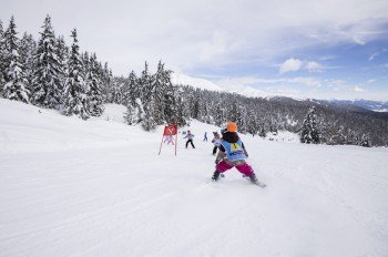 Skischule