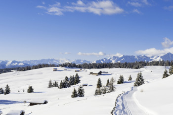 Winterlandschaft