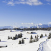 Winterlandschaft