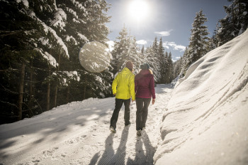Durch herrlichen Winterwald führen die präparierten Winterwanderwege.