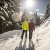 Durch herrlichen Winterwald führen die präparierten Winterwanderwege.