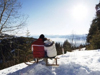 Beim Rodeln lässt sich das Alpenpanorama genießen.