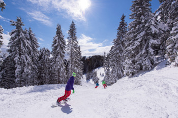 Golte liegt am 1.573 m hohen Medvedjak.