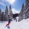 Golte liegt am 1.573 m hohen Medvedjak.