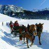 Pferdekutschenfahrt durch die Winterlandschaft