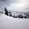 Blick auf die schwarzen Powderhänge "The Good", "The Bad", "The Ugly" und "The East Woods".