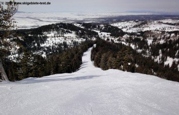 Wie ein Band zieht sich die Carvingpiste Dreamweaver durch die Wälder des Grand Teton Nationalparks.