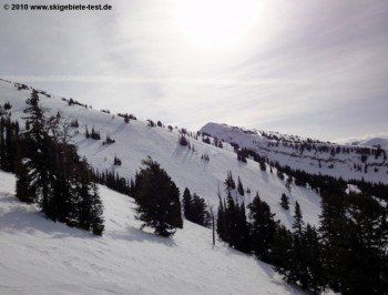 Für amerikanische Verhältnisse bietet Grand Targhee relativ viel Terrain über der Baumgrenze. Neben und zwischen den präparierten Pisten finden sich häufig auch schöne Buckelpisten und Tiefschneehänge