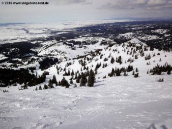 Powderabfahrt "The Good"!
