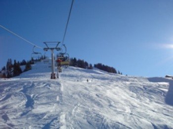 ©www.grimmialp.ch