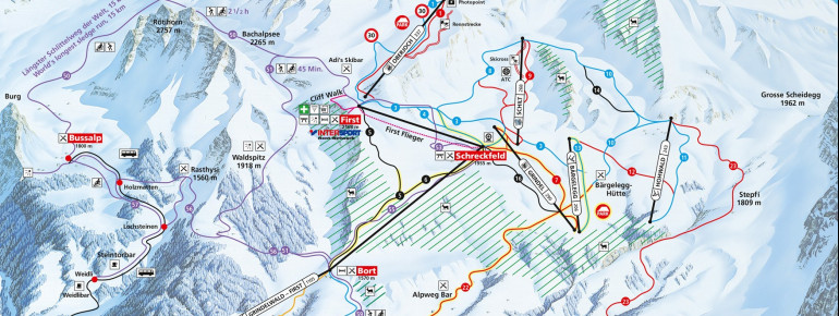 Pistenplan Grindelwald First