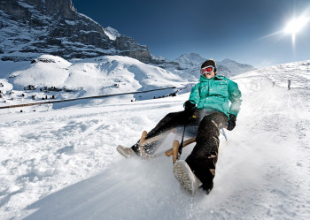In Grindelwald und Wengen gibt es mehrere Rodelbahnen.