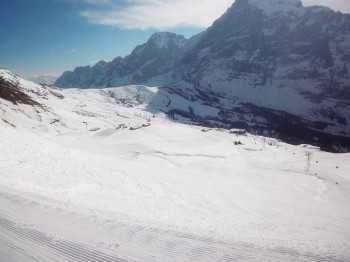 Blick über das Teilgebiet Grindelwald First