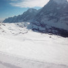 Blick über das Teilgebiet Grindelwald First