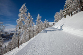 Wandern in traumhafter Winterlandschaft.