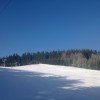 © ski-msa.cz