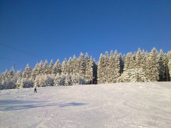 © ski-msa.cz