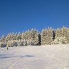 © ski-msa.cz