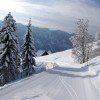 © http://www.skilifthabkern.ch/