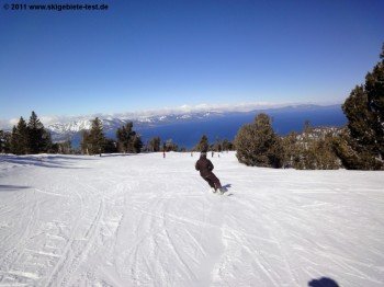 Auf der grünen Piste "Mombo"!