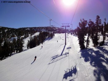 Blick auf die Carving-Pisten rund um die Lifte Powderbowl Express und Canyon Express!
