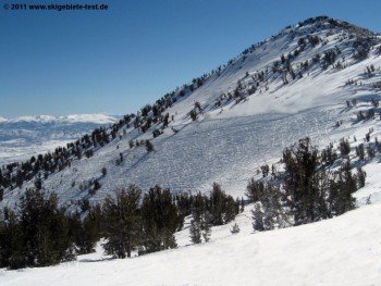 Blick auf Milky Way Bowl! Hier finden sich die meisten Tiefschneeabfahrten im Skigebiet.