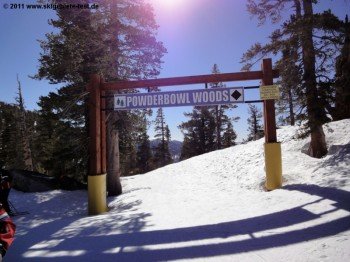 Eingang zu den Powderbowl Woods! Dahinter verbergen sich einige schöne Waldabfahrten.