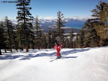 Abfahrt in den Powderbowl Woods!