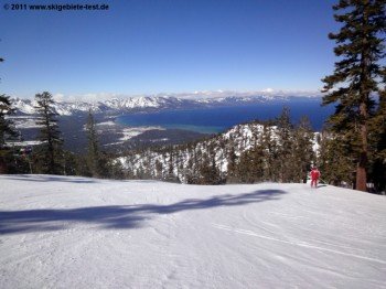 Blick auf die grüne Piste "Mombo" am Powderbowl Express Lift!