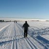 Loipen Herrischried