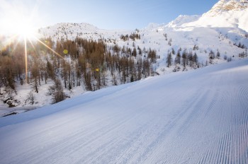 Top präparierte Pisten erwarten dich am Hintertuxer.