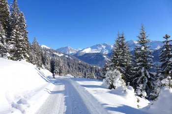 Der Schlittelweg