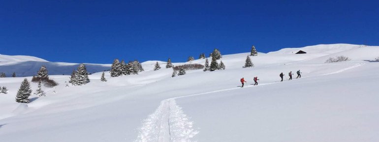 Schneeschuhtouren: Natur pur