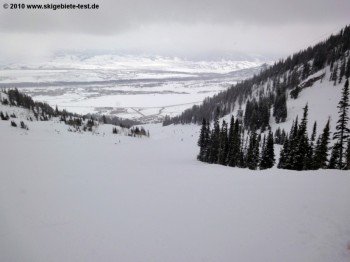 Blick auf die mittelschwere (in USA blau markierte) Piste Amphitheater! Mit etwas Vorsicht können Anfänger auch die blau markierten Pisten unterhalb der Bridger Gondola meistern.