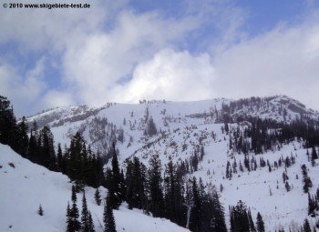 Leichte Bewaldung und zahlreiche Felsvorsprünge machen das Terrain abseits der präparierten Pisten von Jackson Hole zur echten Herausforderung.