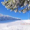 Die Piste am Jauerling eignet sich auch für ungeübte Skifahrer.