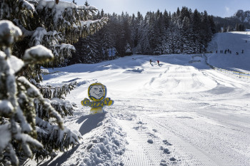 Grizzly Family Snowpark