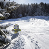 Grizzly Family Snowpark