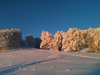 Abendstimmung nähe Gumme