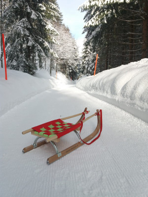 Die Schlittelbahn Kerenzerberg gehört zu den längsten der Ostschweiz.