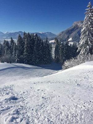 Auf mehreren abwechslungsreichen Pisten geht es nach unten ins Tal.