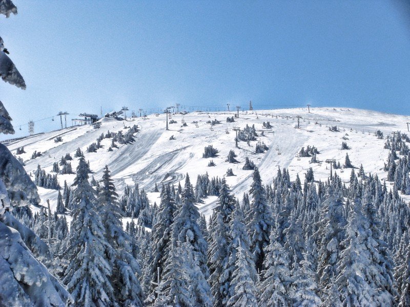 Blick auf die Pisten von Kopaonik.