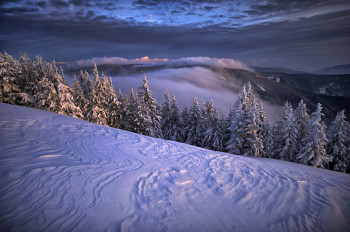 Die verschneite Winterlandschaft kann bei Spaziergängen oder Schneeschuhwanderungen erkundet werden.