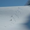 Freerider und Powder-Fans können hier Tiefschneevergnügen pur erleben.