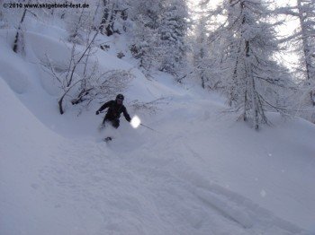 Tiefschneeabfahrt im Wald!