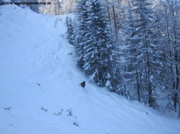 Snowboarder auf der Variante Eisgrube!